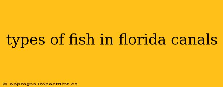 types of fish in florida canals