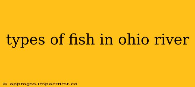 types of fish in ohio river