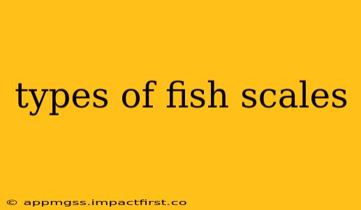 types of fish scales