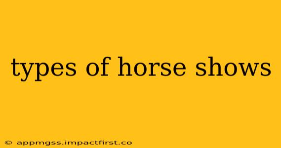 types of horse shows