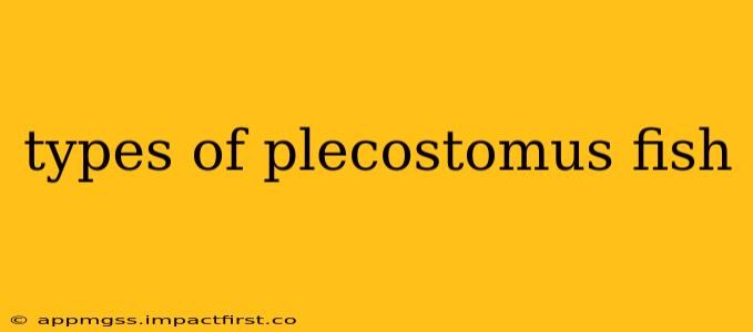 types of plecostomus fish