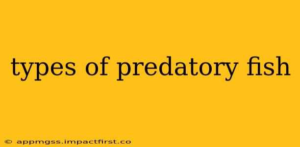 types of predatory fish