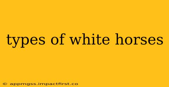types of white horses