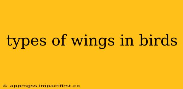 types of wings in birds