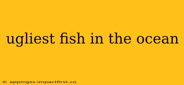 ugliest fish in the ocean