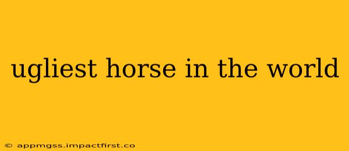 ugliest horse in the world
