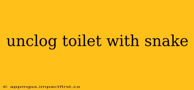 unclog toilet with snake