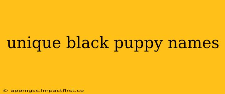 unique black puppy names