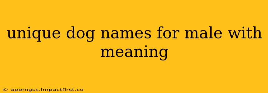 unique dog names for male with meaning
