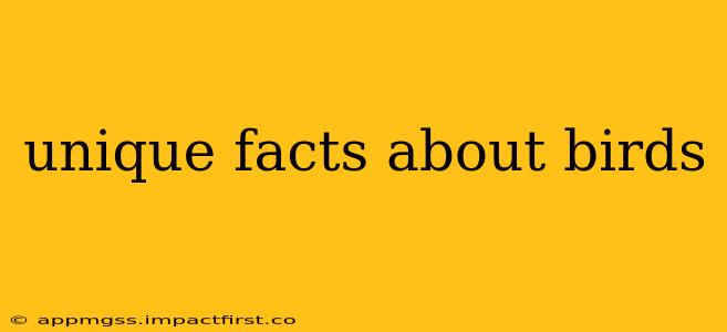 unique facts about birds