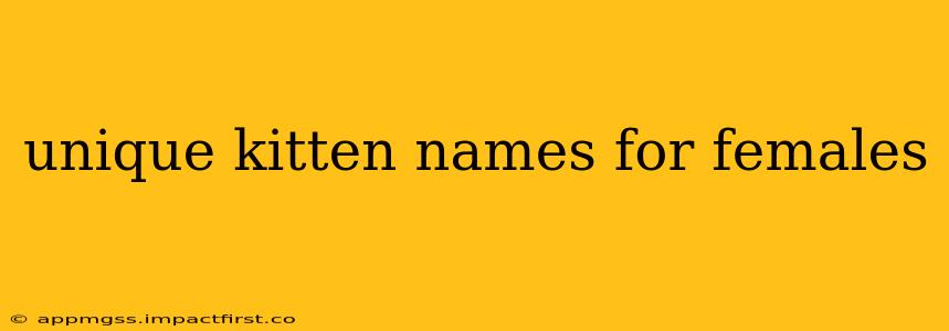 unique kitten names for females