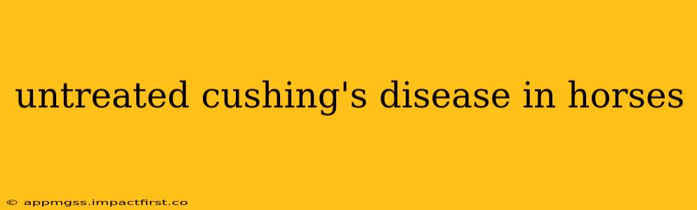 untreated cushing's disease in horses