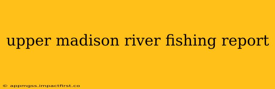 upper madison river fishing report
