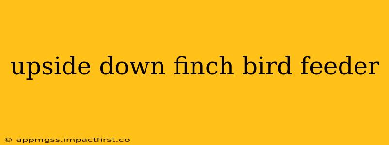 upside down finch bird feeder