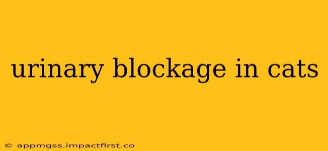 urinary blockage in cats