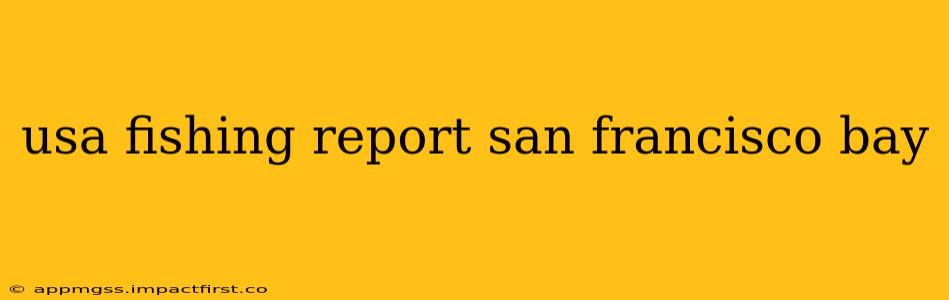 usa fishing report san francisco bay