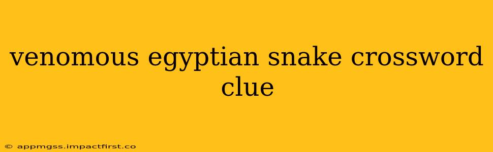 venomous egyptian snake crossword clue