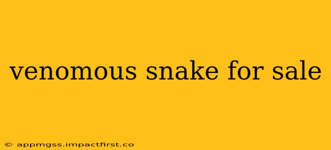 venomous snake for sale