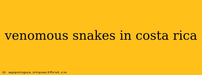 venomous snakes in costa rica