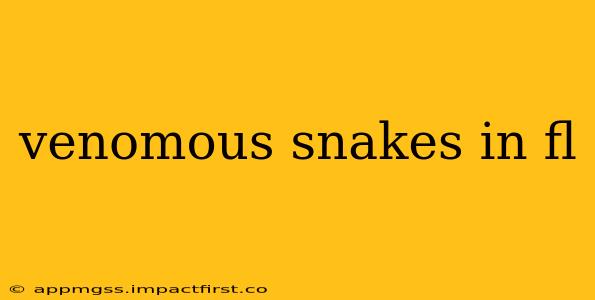 venomous snakes in fl