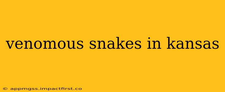 venomous snakes in kansas