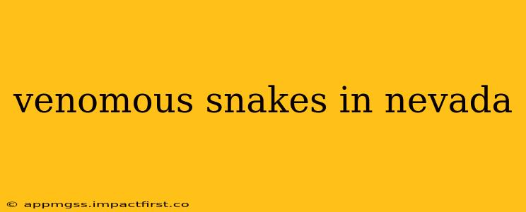 venomous snakes in nevada
