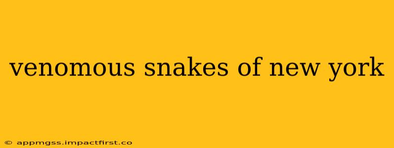 venomous snakes of new york