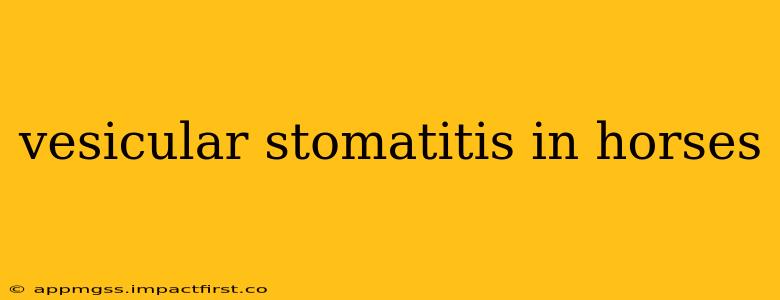 vesicular stomatitis in horses