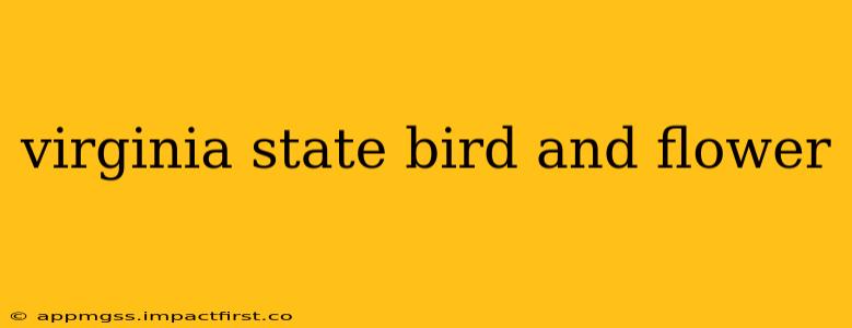 virginia state bird and flower