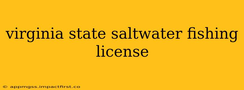 virginia state saltwater fishing license