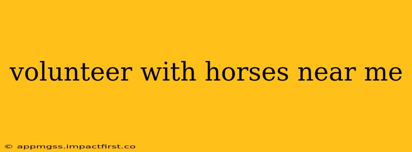 volunteer with horses near me