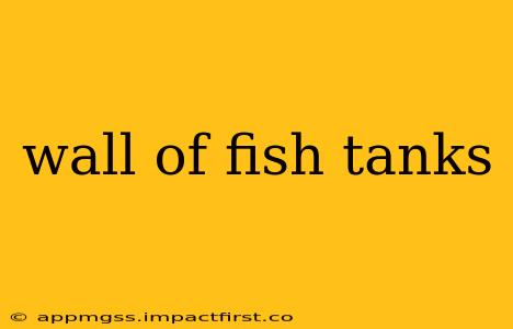 wall of fish tanks