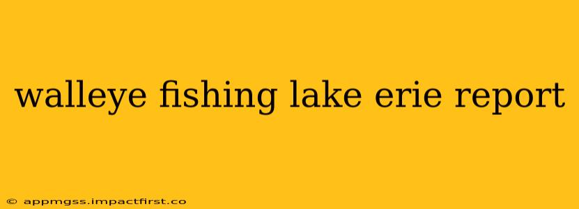 walleye fishing lake erie report