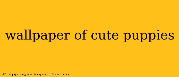 wallpaper of cute puppies