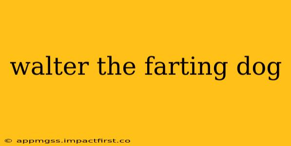 walter the farting dog