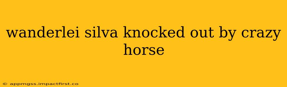 wanderlei silva knocked out by crazy horse