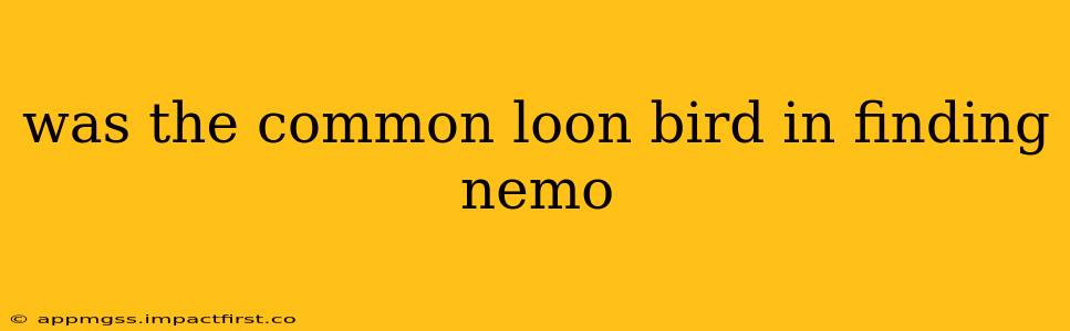 was the common loon bird in finding nemo