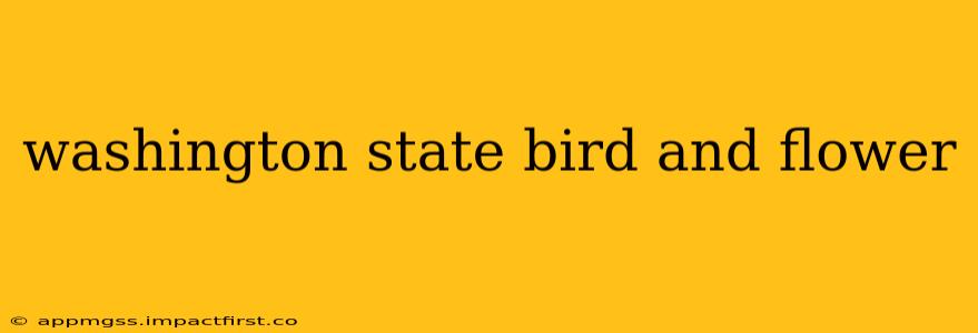 washington state bird and flower
