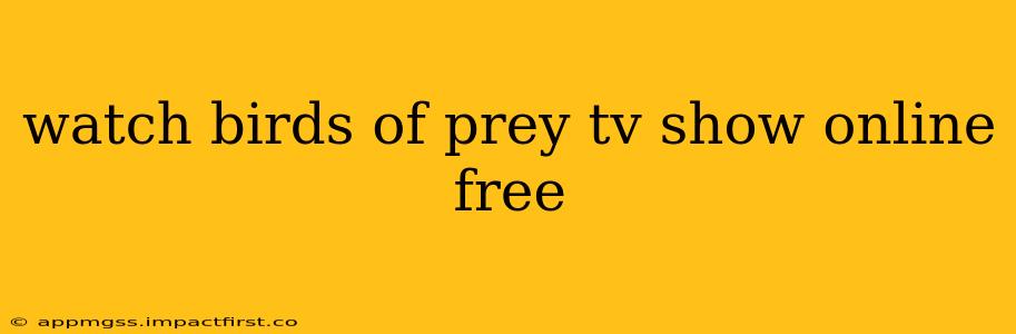 watch birds of prey tv show online free