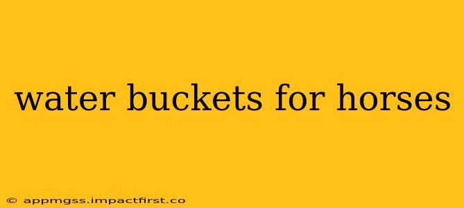 water buckets for horses