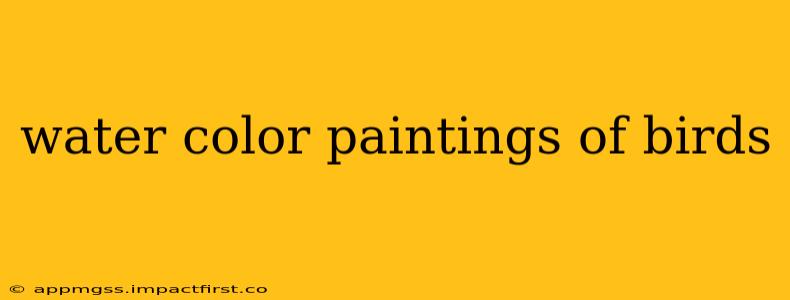 water color paintings of birds