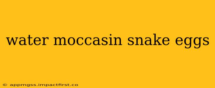 water moccasin snake eggs