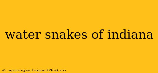 water snakes of indiana