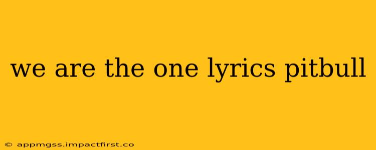 we are the one lyrics pitbull
