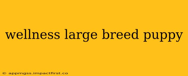 wellness large breed puppy