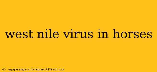 west nile virus in horses