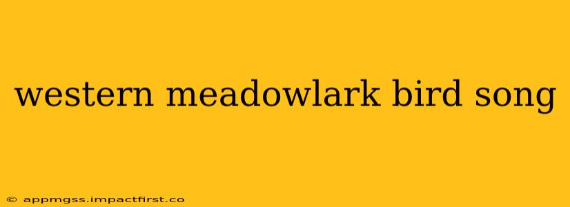 western meadowlark bird song