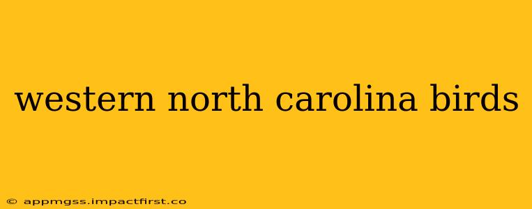 western north carolina birds