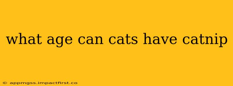 what age can cats have catnip