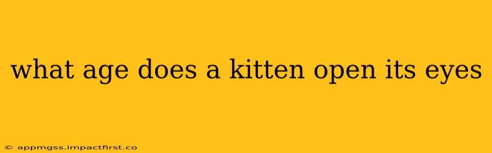 what age does a kitten open its eyes